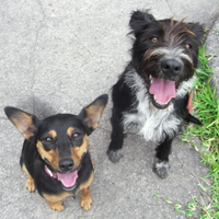 Kelly and Jackie 'Good Sit'